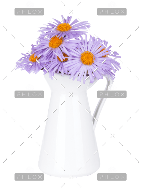 demo-attachment-146-blue-camomile-flowers-in-jug-P6Z6KCB